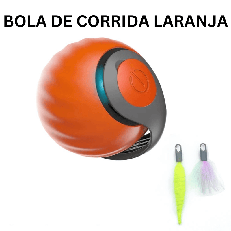 Bola Interativa para Cachorros